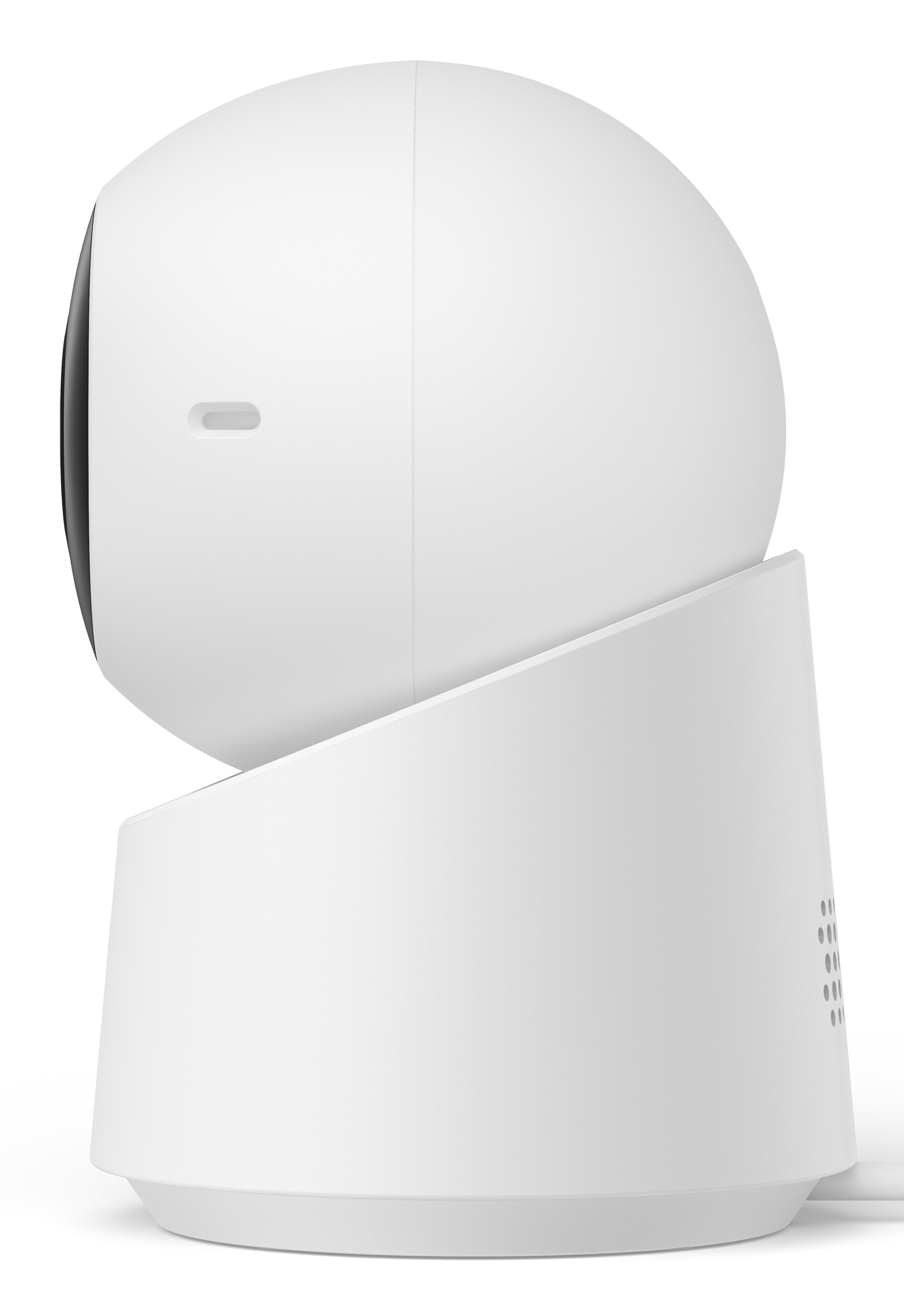 Idealna do monitorowania zwierząt i ochrony domu