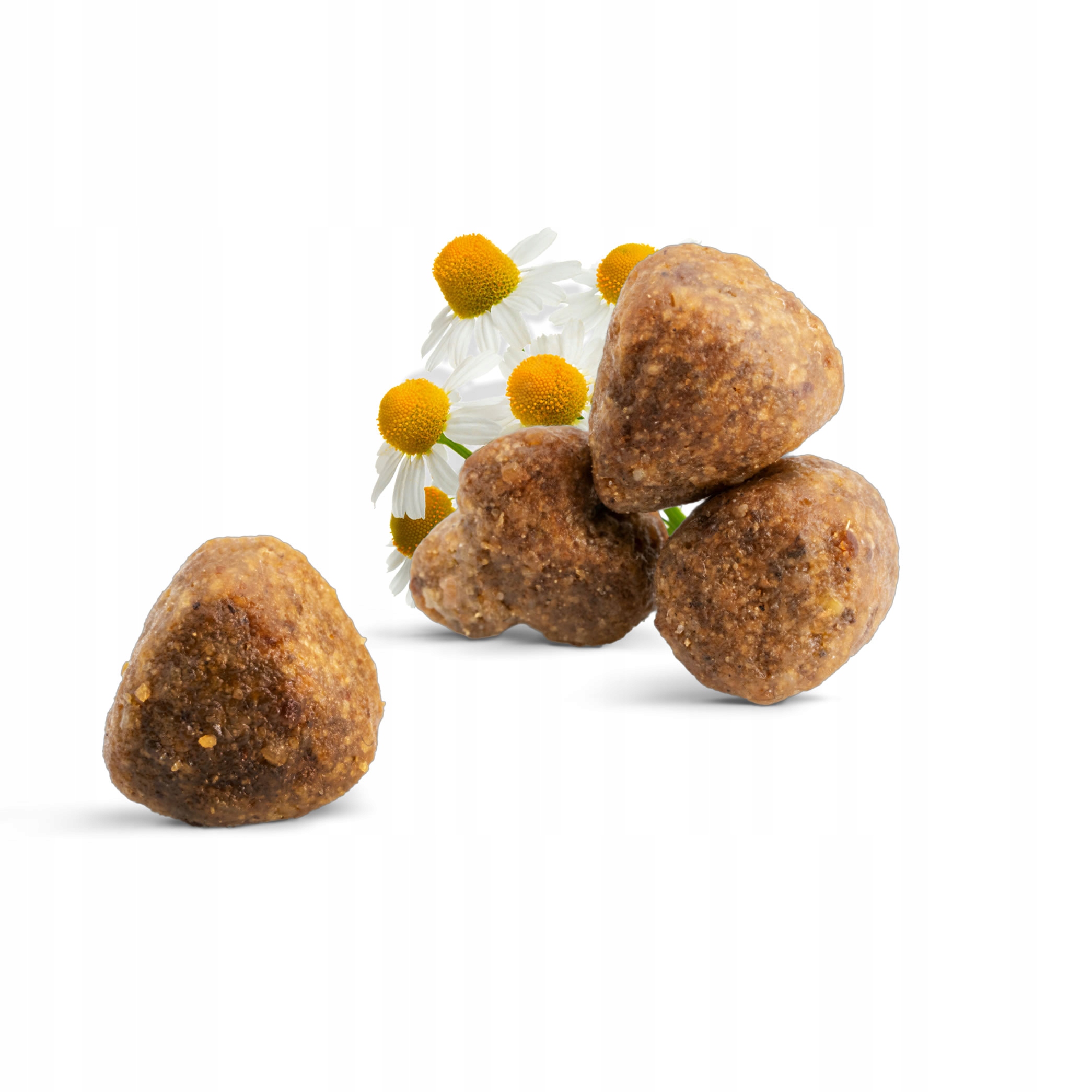 Naturalne składniki wspomagające zdrowie kota