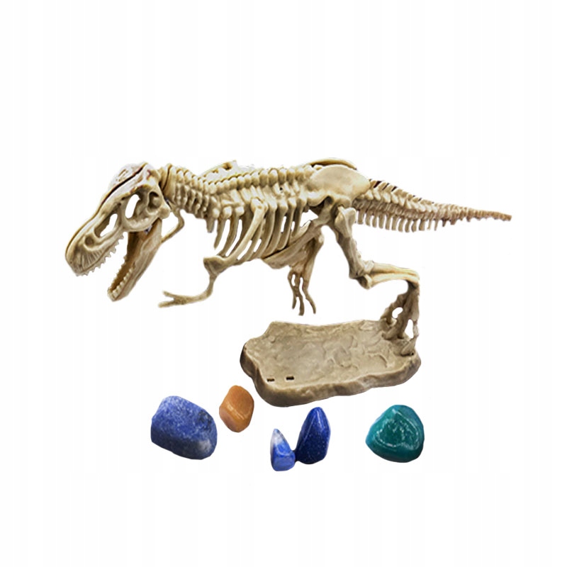 Wykopalisko Dinozaurów – Odkryj Skamieliny i Minerały