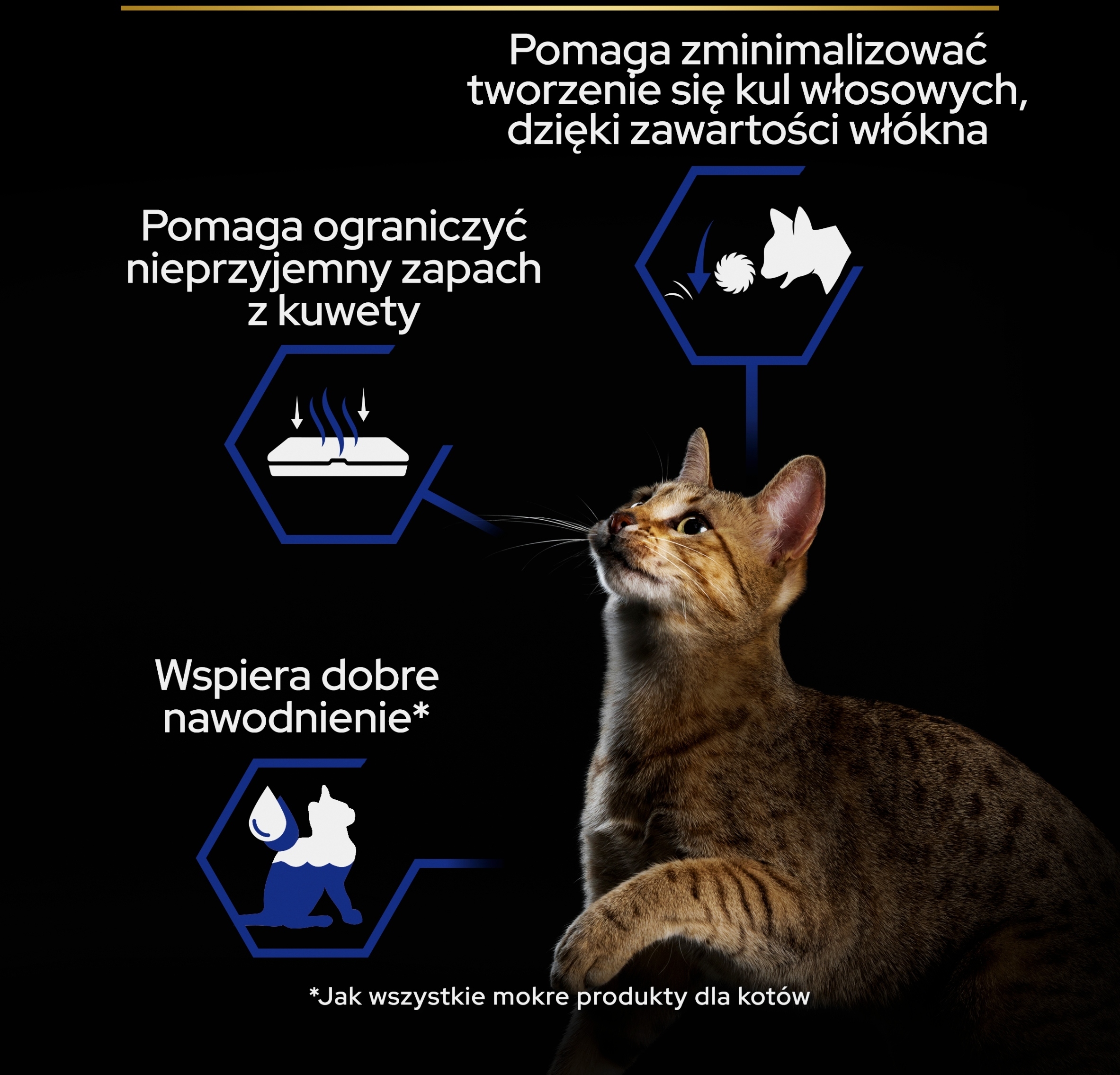 Minimalizacja tworzenia się kul włosowych – Wsparcie dla układu pokarmowego