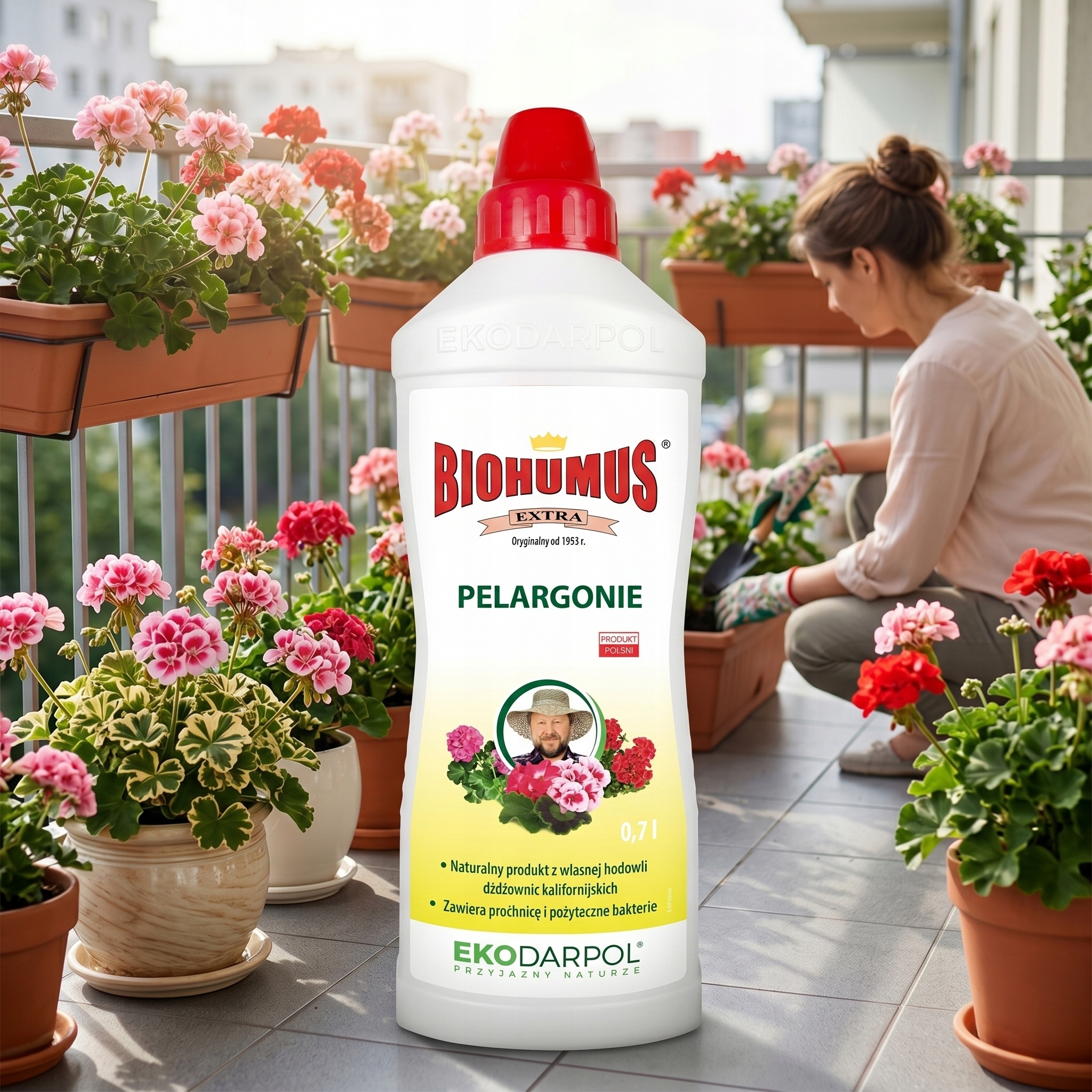 Jak stosować nawóz do pelargonii?