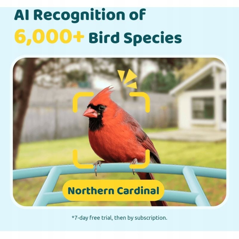 Inteligentne monitorowanie ptaków w Twoim ogrodzie