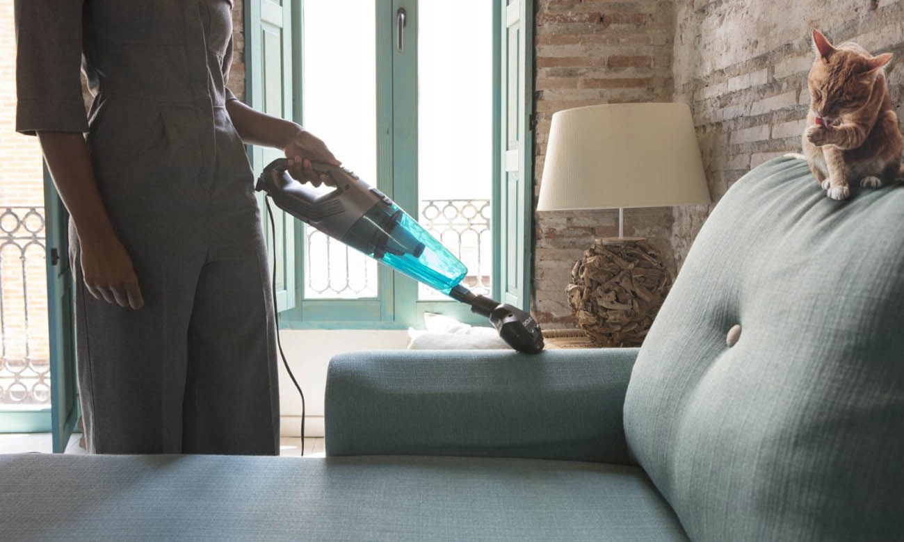 Akcesoria do usuwania sierści zwierząt – Idealny dla właścicieli pupili