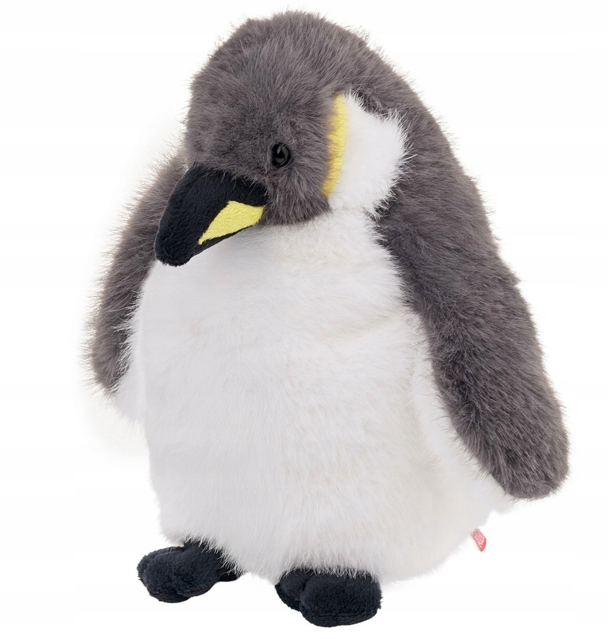 Kolor i design – szary pingwin