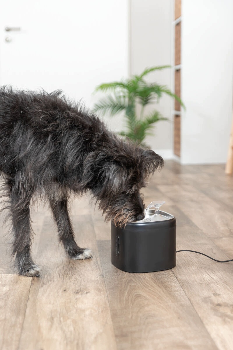 A modern solution for your pet's health and comfort