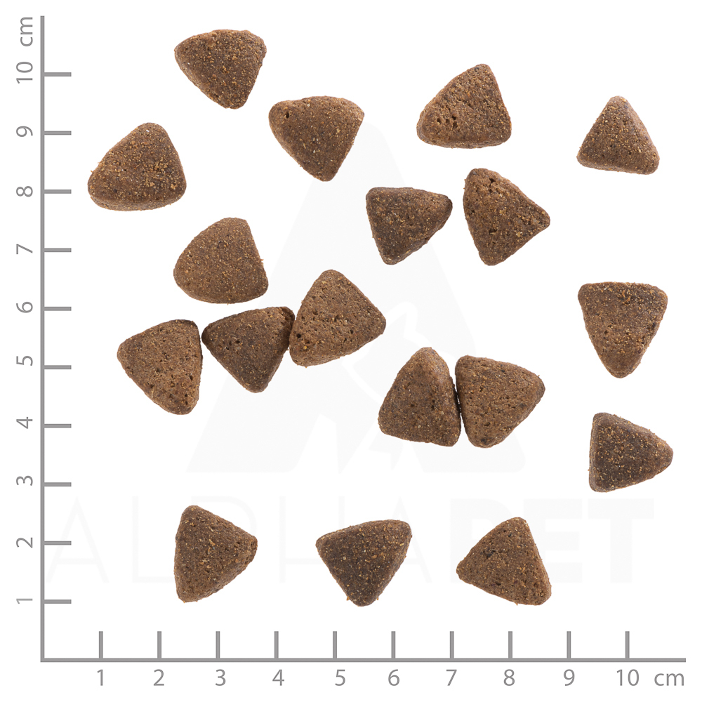 Składniki wysokiej jakości: konina i słodkie ziemniaki