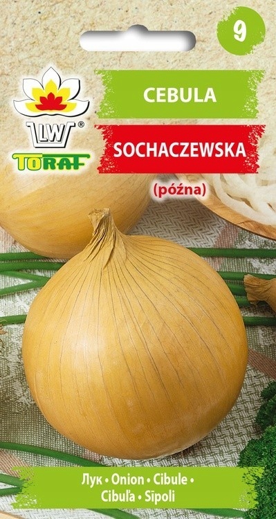 Toraf Nasiona warzyw | Cebula Sochaczewska – Idealna do Twojego ogrodu