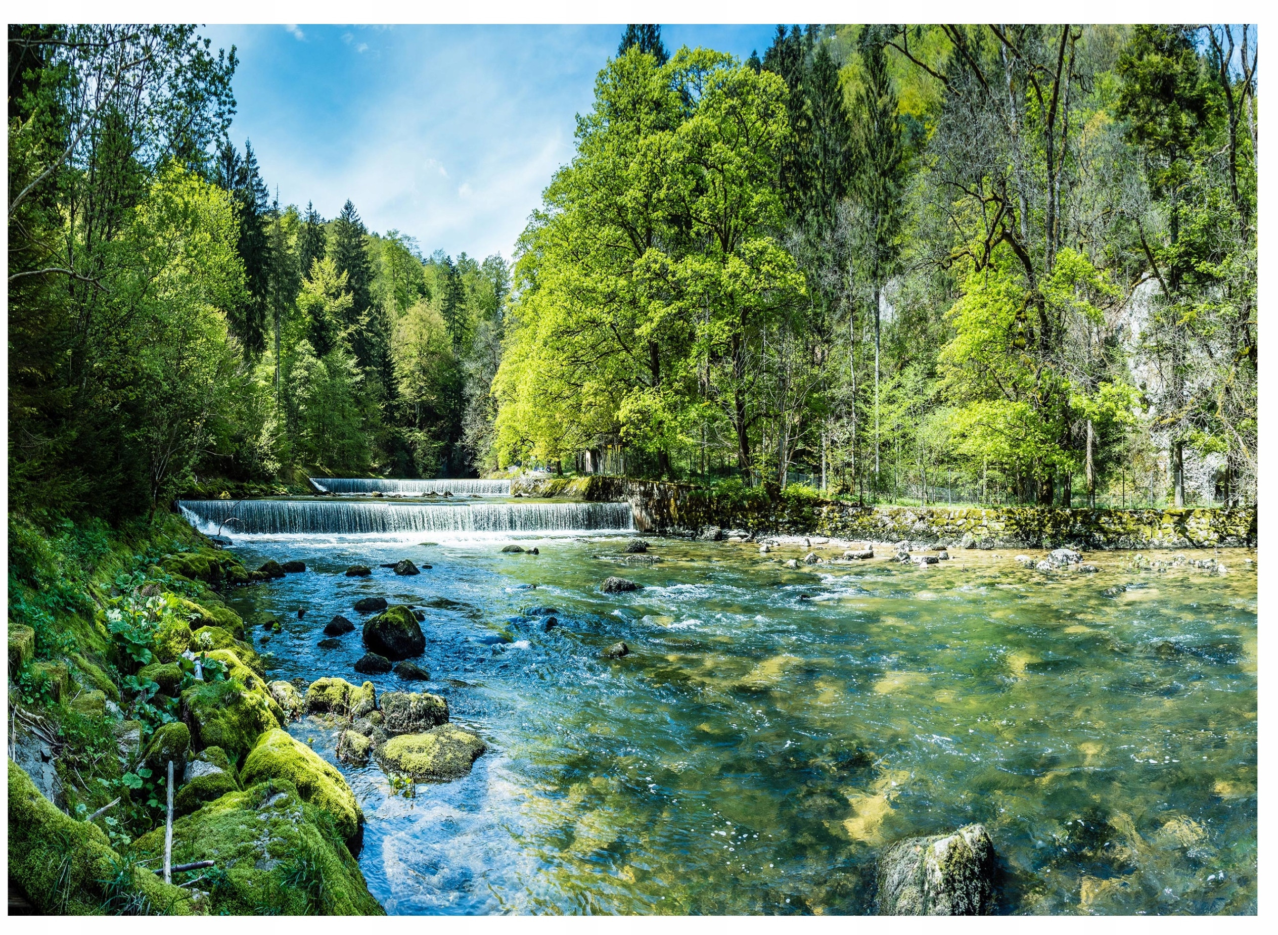 Fototapeta Wodospad 3D Las Natura – Stwórz wyjątkową atmosferę w swoim salonie