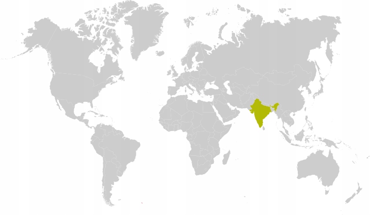 India Malabar Monsooned – Wyjątkowa kawa z Indii