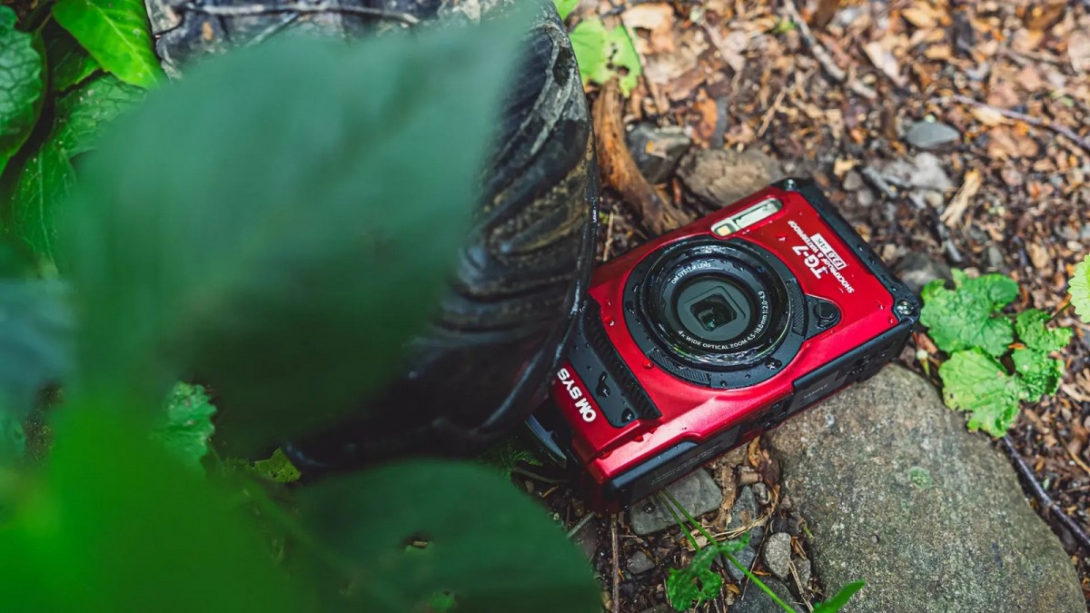 Niezwykłe możliwości makrofotografii – odkryj świat z bliska