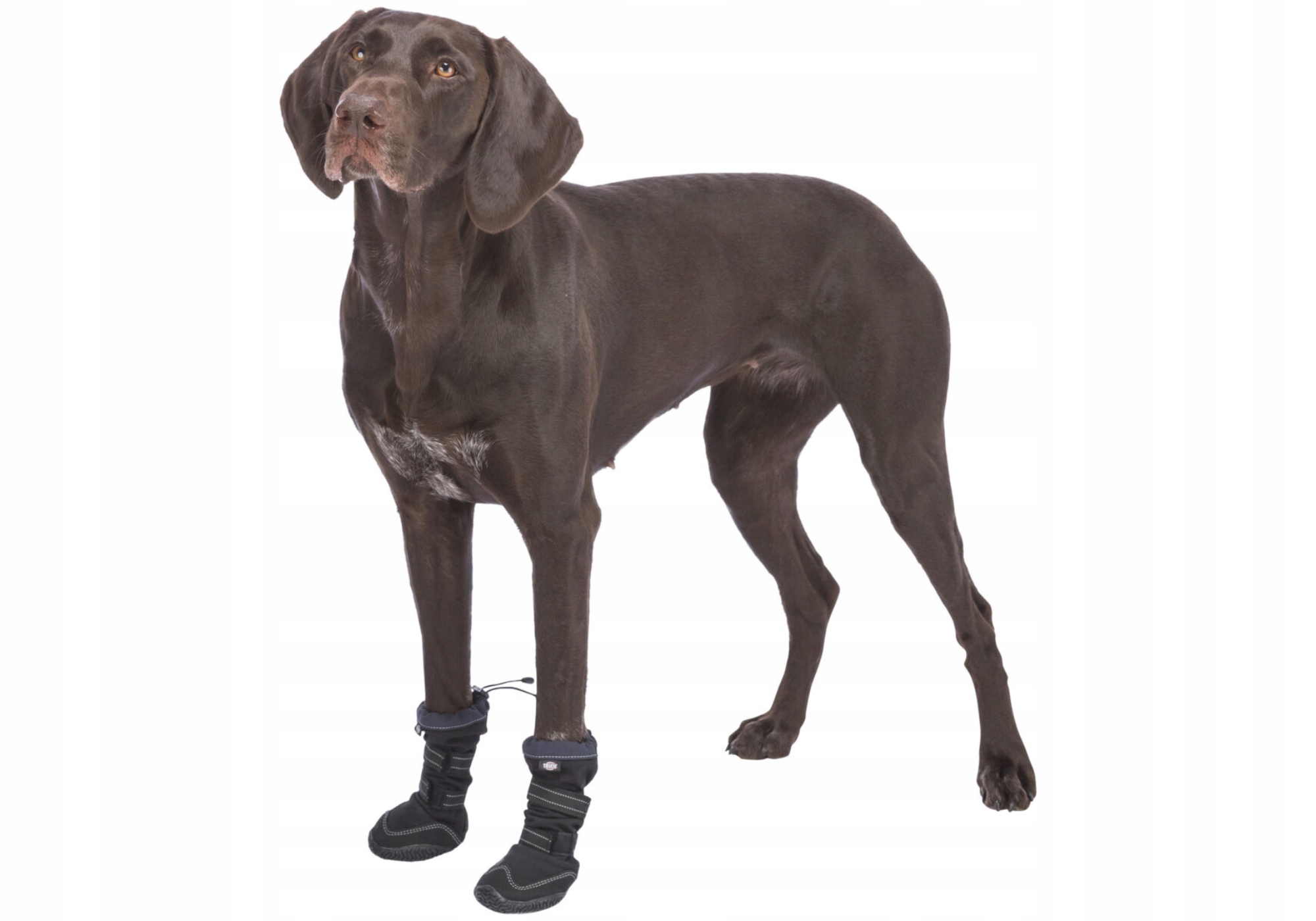 Ochrona łap przed solą i żwirem