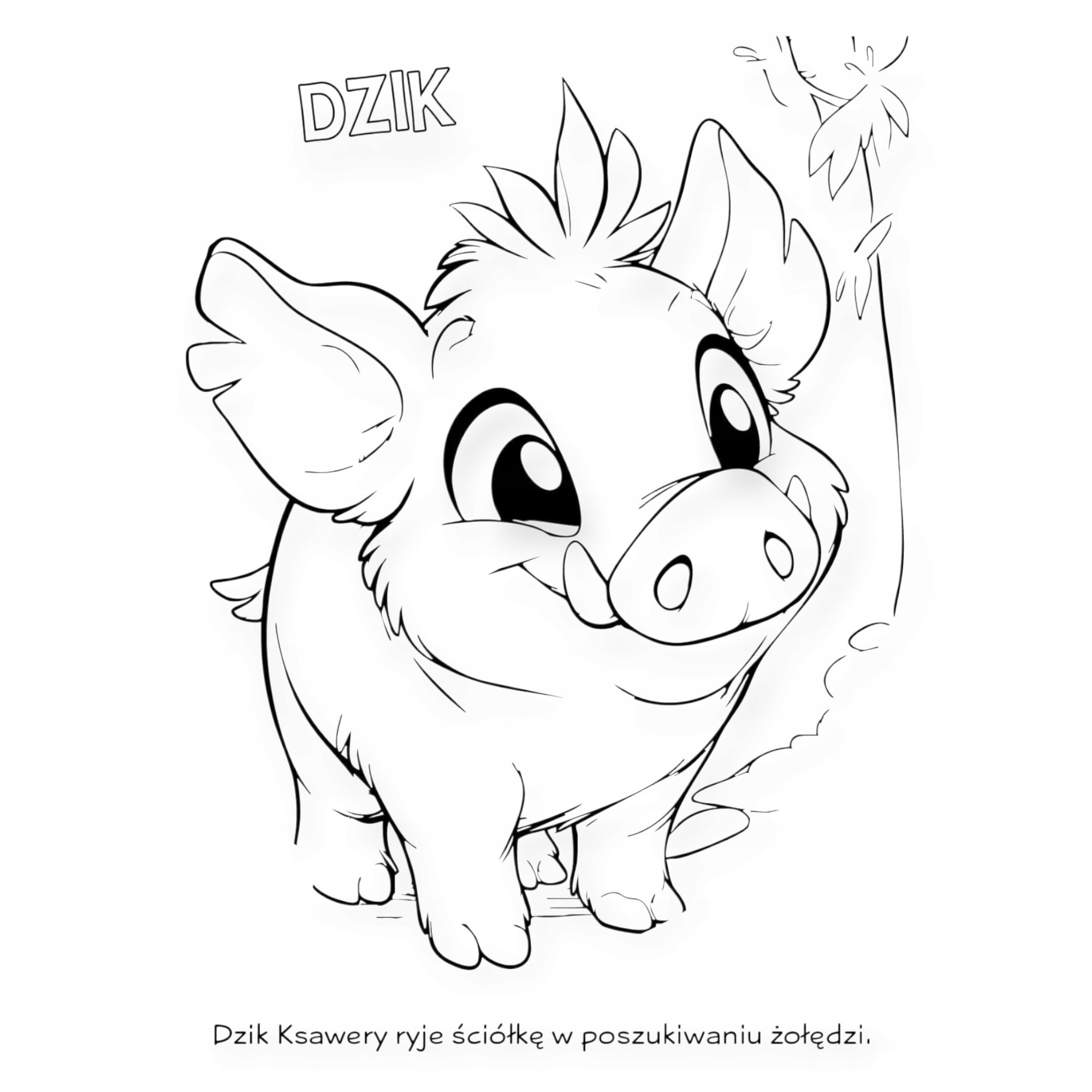 Wspaniałe ilustracje leśnych zwierząt – Koloruj i twórz