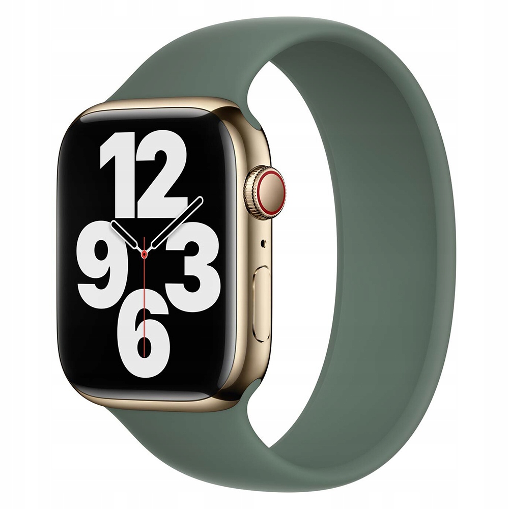 Kluczowe cechy oryginalnego paska Apple