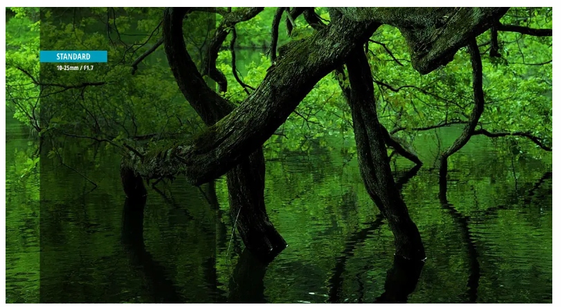 Wszechstronność ogniskowej 10-25 mm