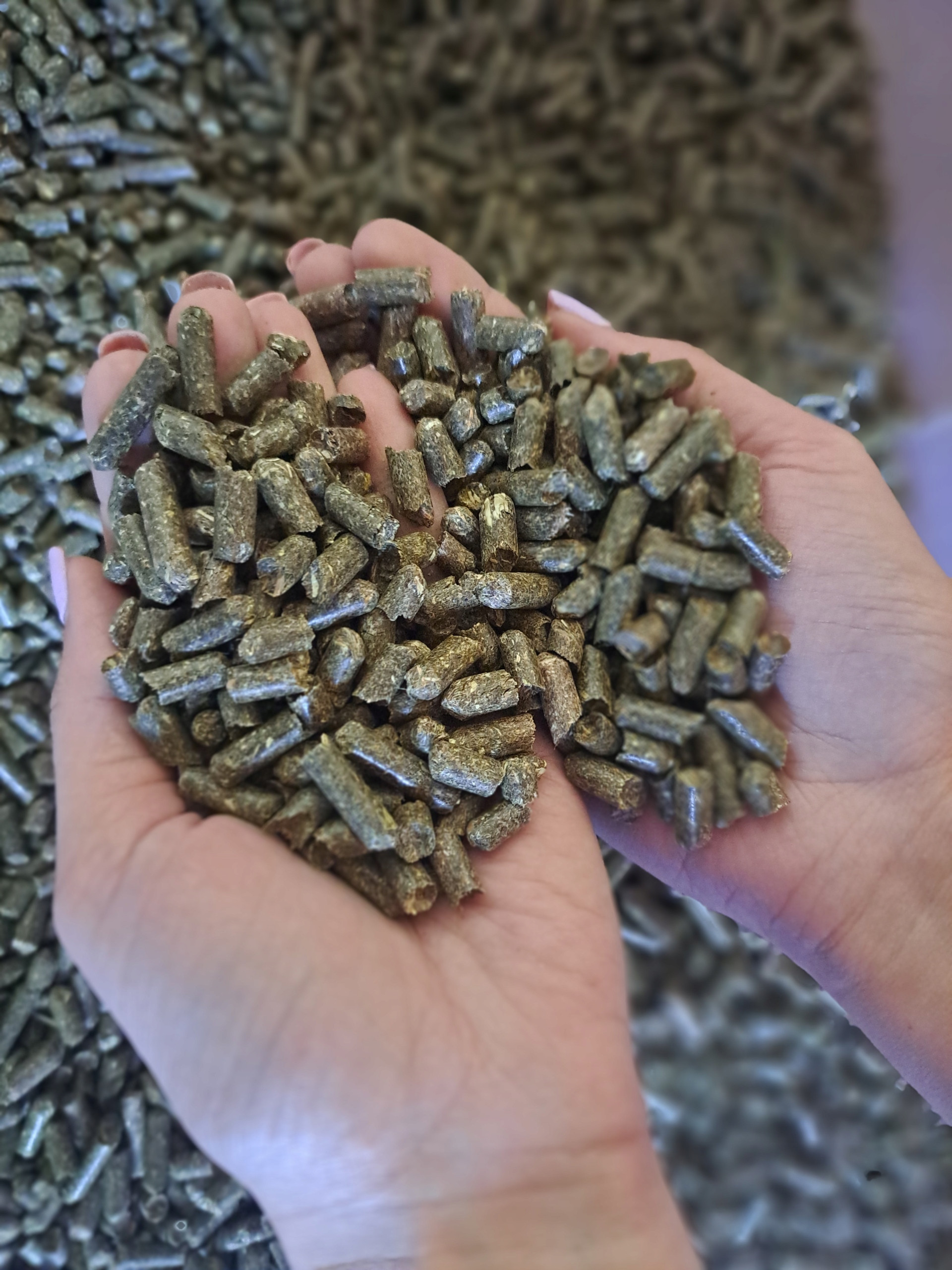 Szybkie nasiąkanie wodą i drobna granulacja