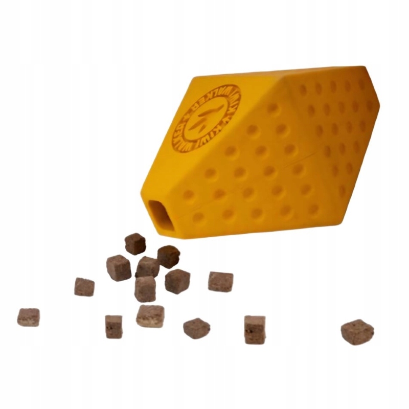 Aportowanie w parku – idealna na aktywne spacery