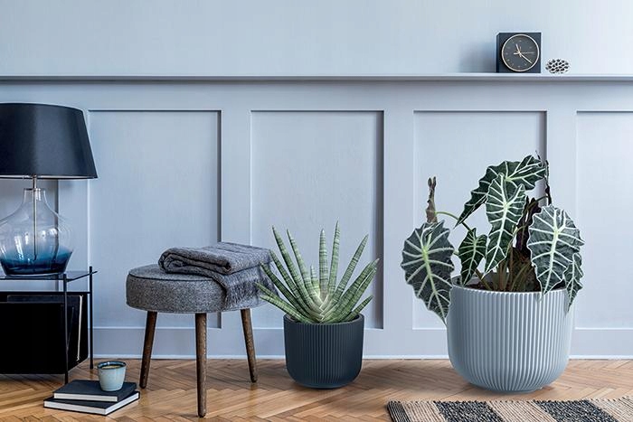 Nowoczesny design i funkcjonalność doniczki Milly