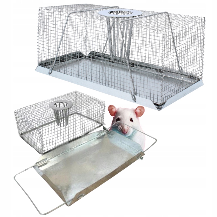 Żywołapka – Humanitarna metoda łapania nieproszonych gości