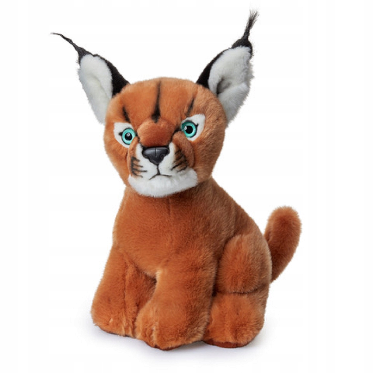 Realistyczne odwzorowanie zwierząt – Odkrywanie świata fauny