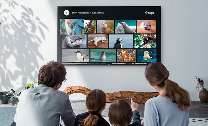 Platforma Android TV
