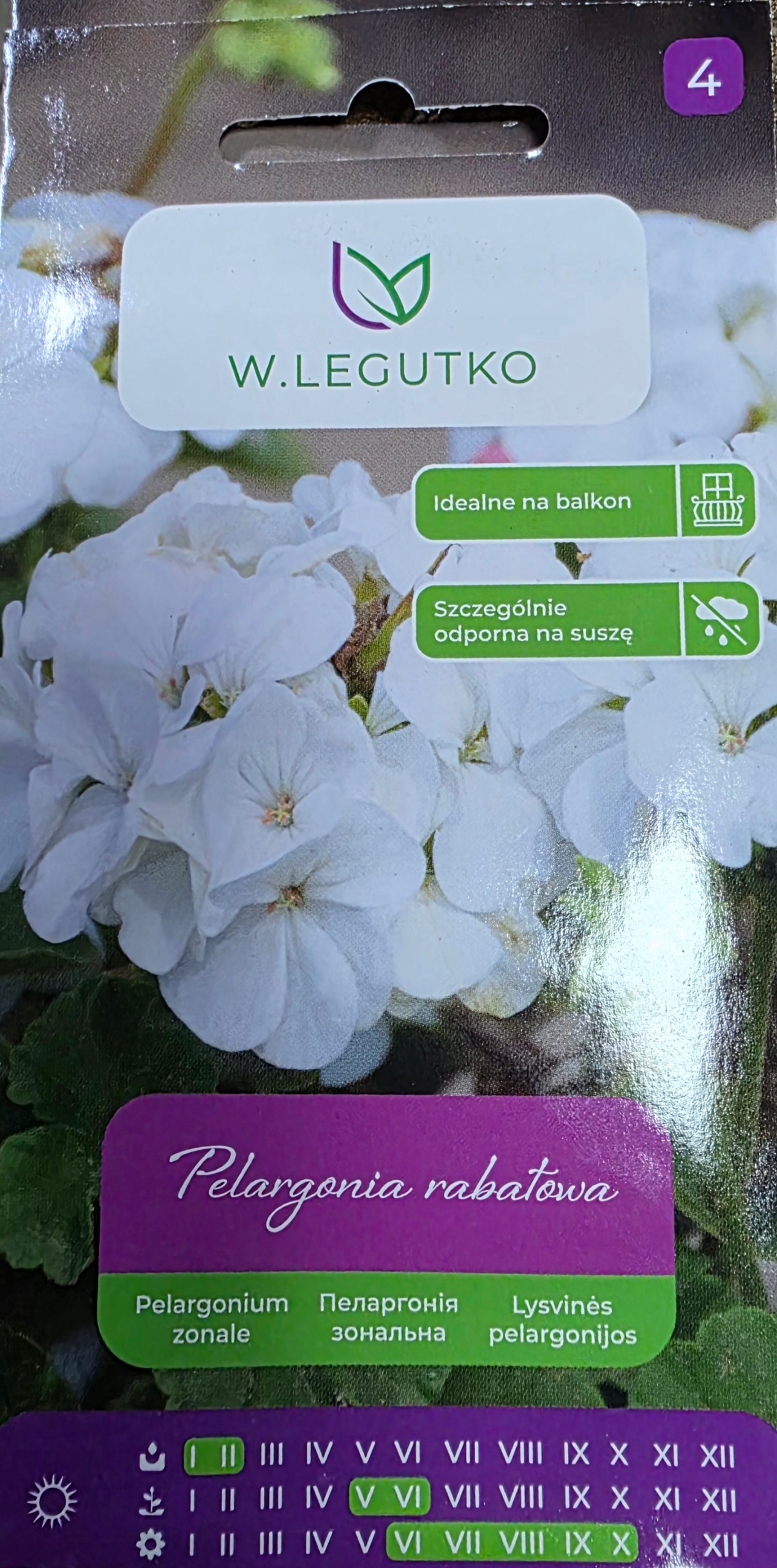 Cechy i wymagania uprawowe pelargonii