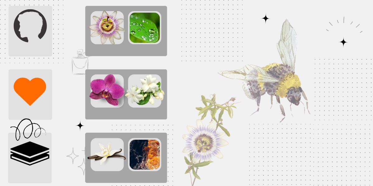 Wyjątkowe nuty zapachowe: Passiflora, Orchidea i Wanilia