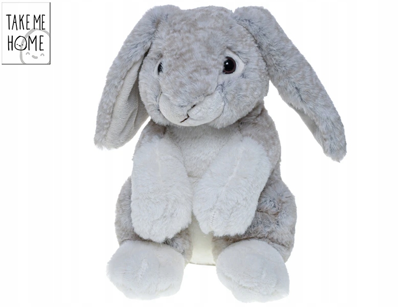 Cechy i zalety królika pluszowego