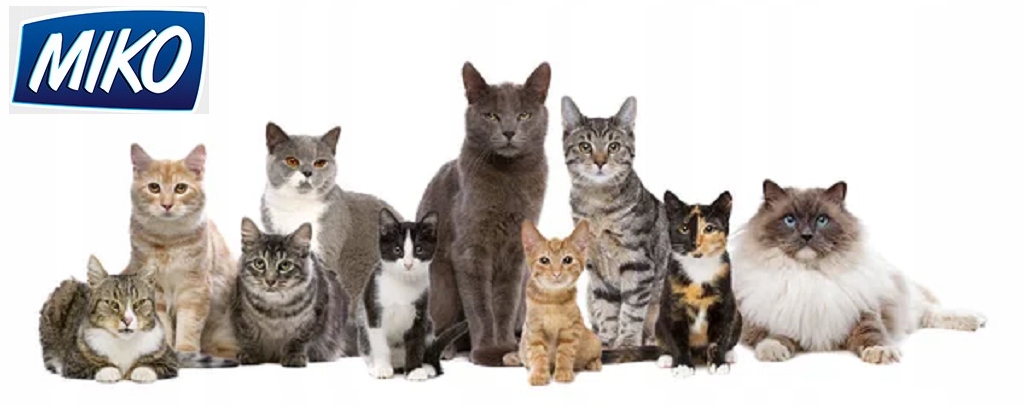 Idealne dla psów w każdym wieku – Wszechstronny wybór dla pupila