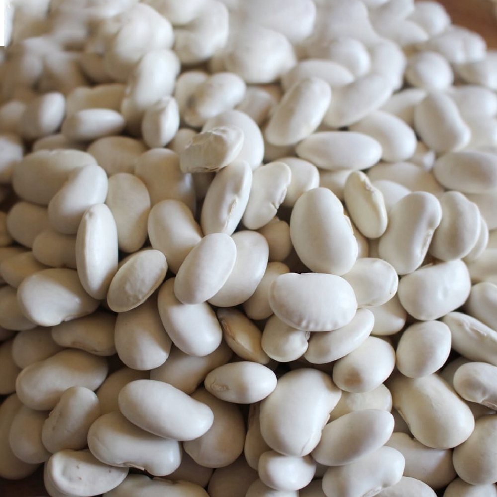 Nasiona bez GMO od polskiego producenta