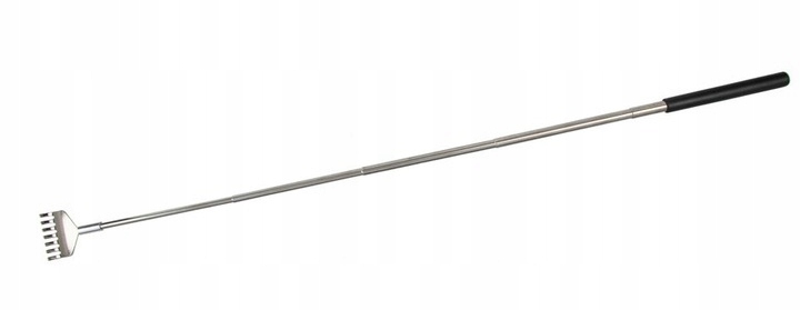 Dlaczego Warto Mieć Drapaczkę do Pleców?