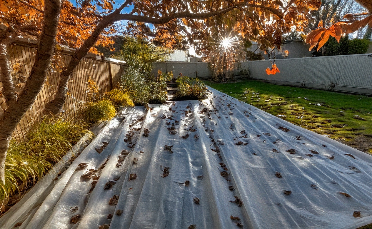 Zimowa otulina do ochrony roślin – skuteczność i trwałość