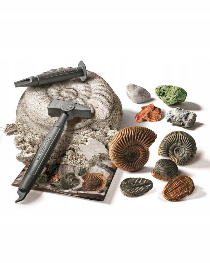 Odkryj tajemnice Ziemi z zestawem skamielin i minerałów