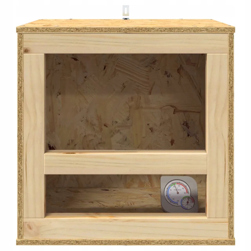 Stylowy i nowoczesny design terrarium