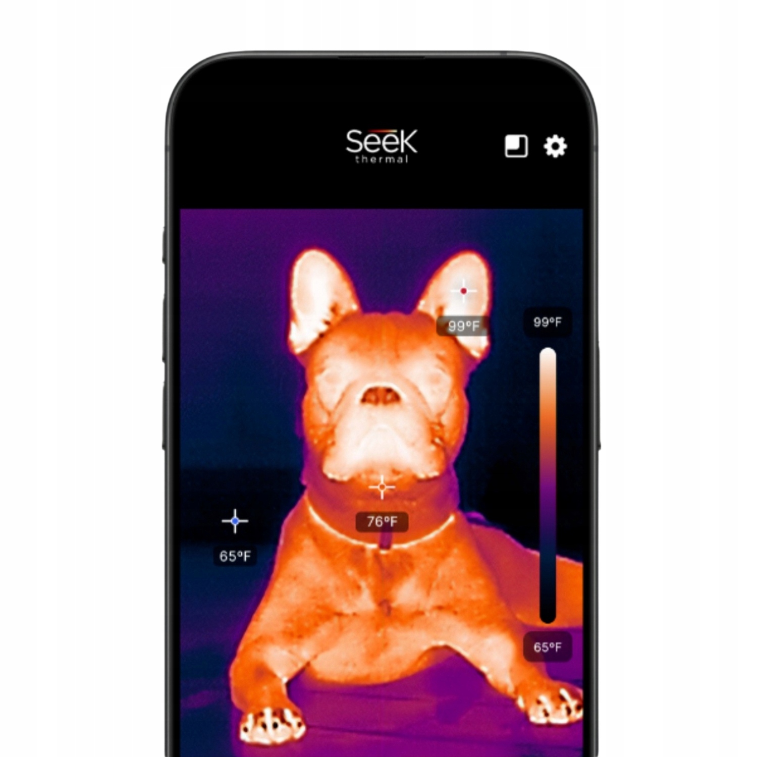 Wszechstronne zastosowania w codziennym życiu