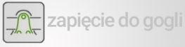 Zapięcie do gogli