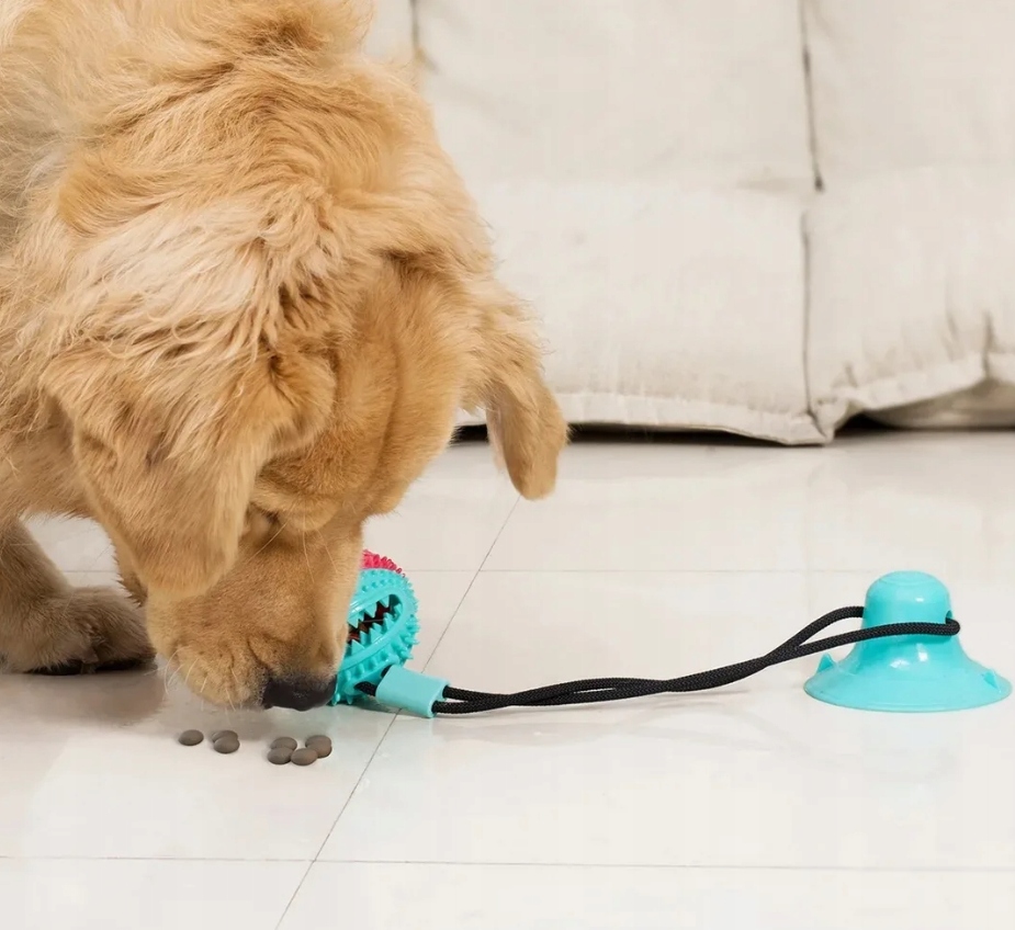 Nuxie Zabawka piłka szarpak z przyssawką 43cm – Idealna zabawa dla Twojego pupila