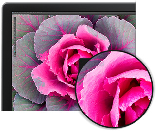 27-calowy monitor Dell P2715Q o rozdzielczości Ultra HD 4K — niezrównana ostrość