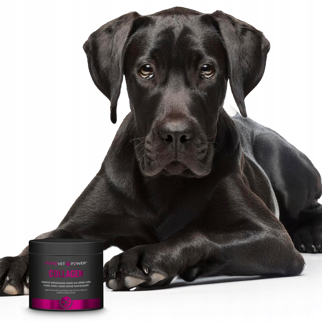 Poprawa kondycji skóry i sierści