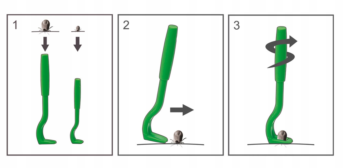 Zastosowanie Kleszczołapek – Dla ludzi i zwierząt