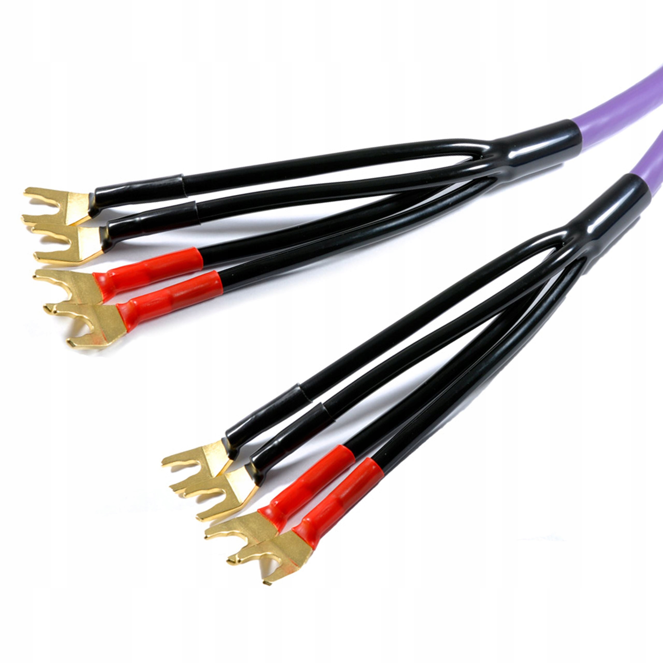 Bi-wiring i bi-amping – Zwiększ jakość dźwięku