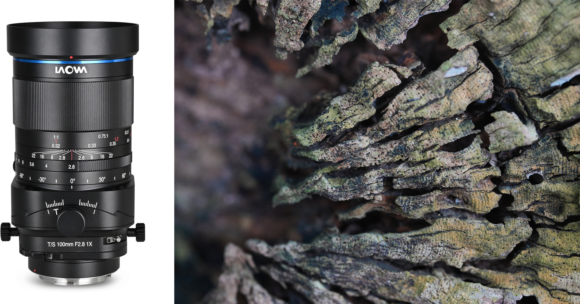 Obiektyw Laowa 100 mm f/2,8 Tilt-Shift 1x Macro do Sony E