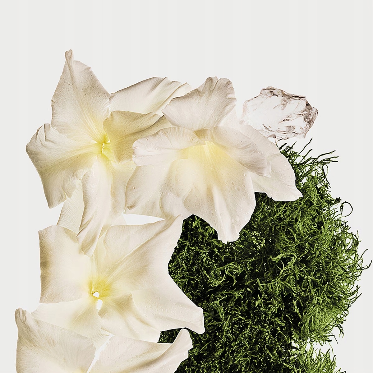 Unisex – Idealny dla każdego rodzaju skóry