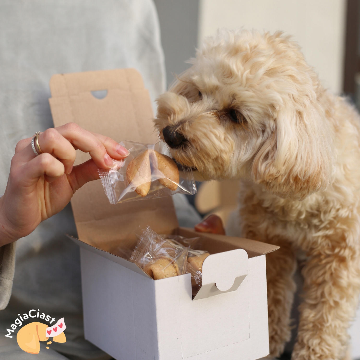 Dlaczego warto wybrać Ciasteczka z Wróżbą?