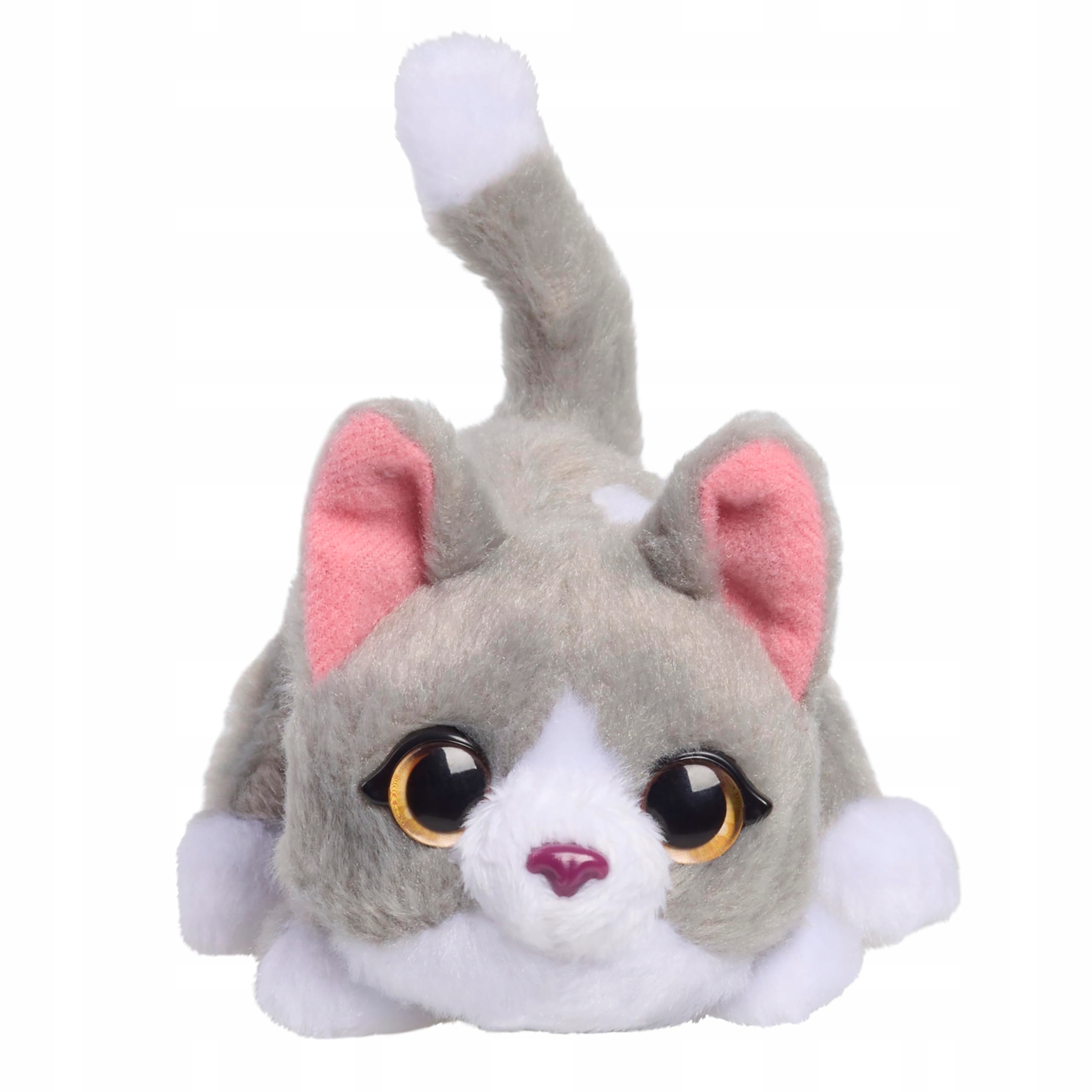 Uroczy pluszowy kotek w smokingu