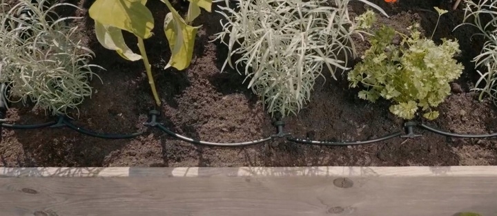 Oszczędność czasu i wody dzięki systemowi kropelkowemu