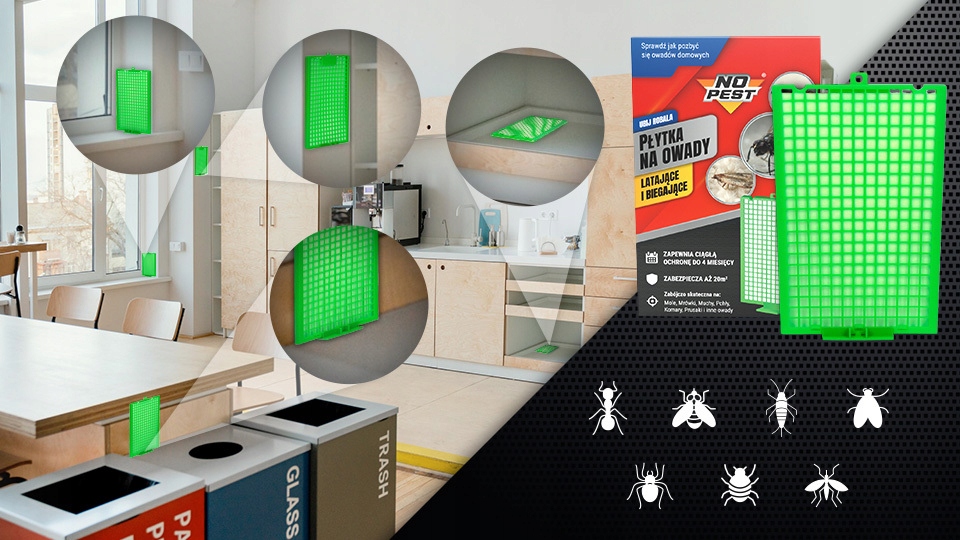 Szybkie efekty – Zobacz rezultaty już po 4 godzinach