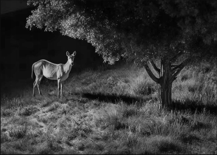 Wydajność baterii i mobilność