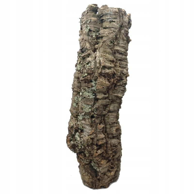 Unikalne wymiary – Dostosowane do różnych potrzeb zwierząt