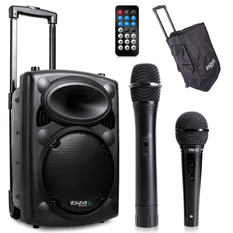 Zestaw mikrofonów do karaoke i prezentacji