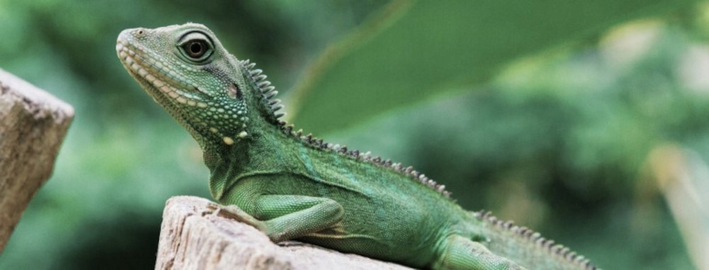 Ergonomiczny pilot RC45 – Wygodne sterowanie telewizorem